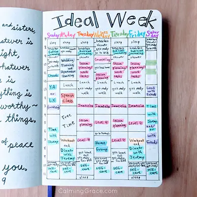 Bullet Journal Ideal Week Collection