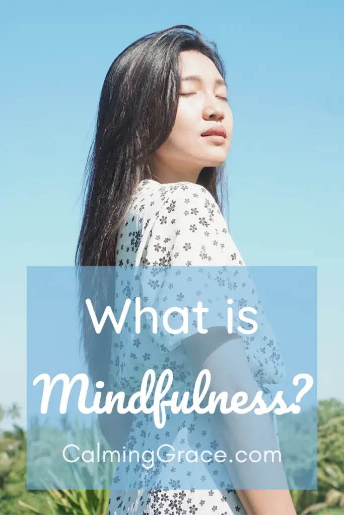 Mindfulness Meditation Made Simple: Just Pay Attention