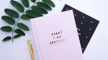 gratitude journal