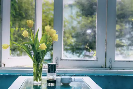 Flowers next to open window - appreciate natural beauty