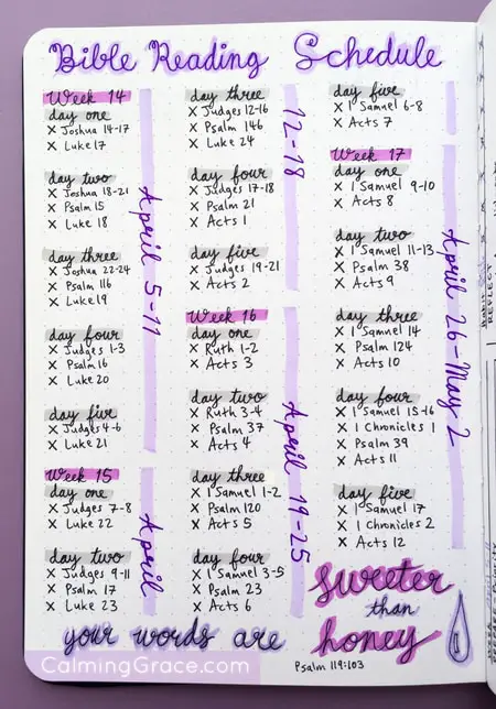 Bullet Journal Bible Reading Schedule