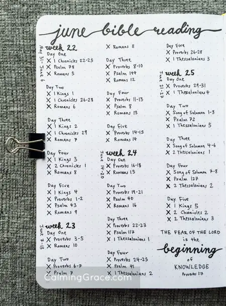 Bullet Journal Bible Reading Tracker