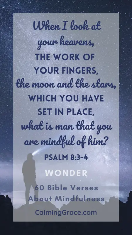 Bible Verse about Wonder: Psalm 8:3-4