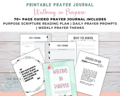 Walking in Purpose Guided Prayer Journal