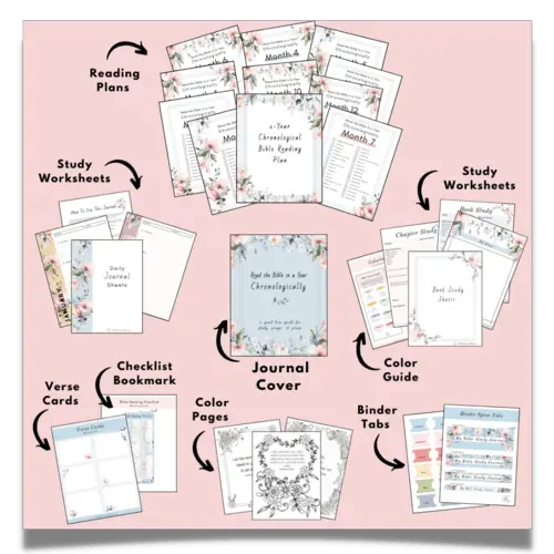 1-Year Chronological Bible Reading Plan