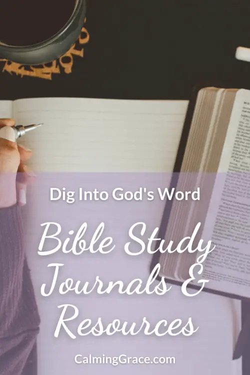 Bible Study & Devotional Resources